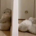 [드루와] (고민)새학기 시작됏는데 지금 못 친해져도 ㄱㅊ?