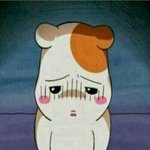 오늘 <b>고척</b>돔 퀸 내한 오는 사람??