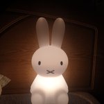 [댓글부탁해] <b>무드</b>등 샀는데 어떰..?