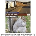 [댓글부탁해] 새학기 시작됐는데 지금 친구 안사귀어도 ㄱㅊ음?