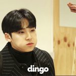 [세븐틴] 고잉세븐틴은 진짜 좋은듯