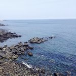 <b>sf9</b> 로운 사진 있는 사람