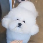 [댓글부탁해] 추반해주면 올해 남친 <b>생김</b>