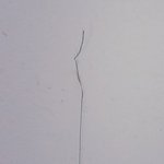 내 머리카락 <b>상한</b> 거 봐;;