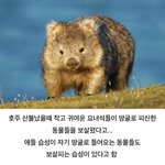 <b>통금</b>때문에 엄청 혼났었는데