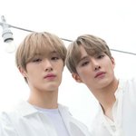 덕후 아니면 매우 혼란스러울 아이돌