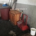 [고양이] 못생겨서 입양문의가 없다는 내 작은 길고양이........