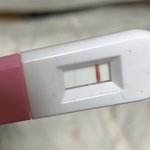 원포 패스터
