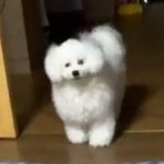 [드루와] 개설레는 꿈 꿈