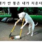[댓글부탁해] 나 오늘 맥 갈건데