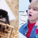 [방탄소년단] 네1<b>이트</b> 메인 기사 ➖  방탄소년단 뷔, 'S1AG'서...