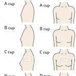 [댓글부탁해] 가슴은 ㄹㅇ <b>c컵</b>부터가 예쁜 듯