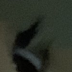 [드루와] 무서움)) 이 정도면 속눈썹 <b>평타</b>??
