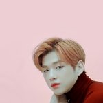 [강다니엘] <b>폰배경</b> 쥽줍