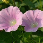 [너가봤으면] Love <b>letter</b> for ㅇㅈ #1