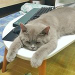 [댓글부탁해] 한번만 봐주라 ㅠ 언니 <b>도벽</b>증 어떻게 고쳐야할까 ㅠ