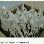 야 나 진짜 좋아하는 사람생기면 간<b>쓸개</b> 다줄듯