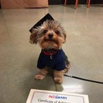 아 귀여워ㅠㅠㅠㅠㅠㅠ