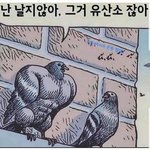 만약 아이돌들중에 이런사람