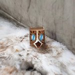 내 최애들 공통점