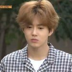 [EXO] 김준면 진짜 <b>앙고라</b>토끼ㅠㅠㅜ