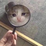 예비고1 수학 들어와주라