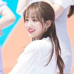 <b>정체</b>되지 않는 걸그룹 리즈...