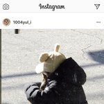 [드루와] 구사랑 고양이 <b>학대</b>한 거 앎??