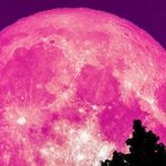 [19] 고딩들 존1나 입시<b>부심</b>개쩔음