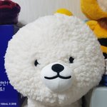 다이소 <b>비숑</b>보고가!!