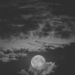 림드라 이거 봐바 니네 오늘밤 폰하면 안된대