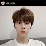<b>사쿠라</b> 이거 진짜임?