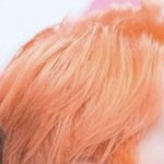 [드루와] 이색깔 나오려면 <b>뭔색</b>으로 염색해야되냐