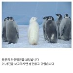 너무 신기 ㄷㄷㄷㄷ