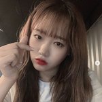 이 <b>머리색</b>은 무슨<b>색</b>임?