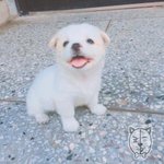 솔직히 대통령 <b>순서</b> 모르면 무식한거아님?