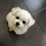 ??원래 이시간에 사람 조카없는데