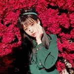 <b>유지애</b> 레트로