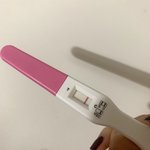 애들앙 이거 확실히 임신 아닌거지?