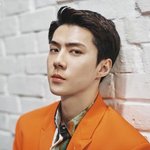 <b>벨루</b>티 뉴 뮤즈 엑소 세훈