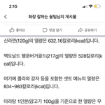 [강아지] 설 기간에 강아지