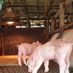 애들아 직업 특성상 냄새가 많이나는 직업 어떻게생각함?