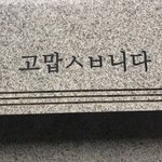 [드루와] 귀뚫은 애들 귓구멍 <b>소독</b> 텀 어느정도냐