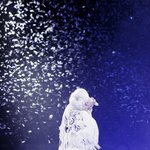 [드루와] 라따뚜이 vs 주토<b>피아</b> 추반 좀