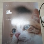 [19] 전형태 <b>문법</b>올인원 수강후기