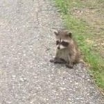 [댓글부탁해] 얘들아 청소년 <b>체험단</b>이나 그런 거