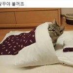 [댓글부탁해] 너네 치킨먹을때 이거 어케함??