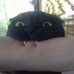 거봐.. 나도 <b>정글</b>의 왕이 될 수 있다고!
