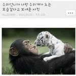 06도와줄 분 구해요ㅠㅠㅠㅠㅠ