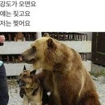 [댓글부탁해] 아이폰 <b>존버</b>할까,,?